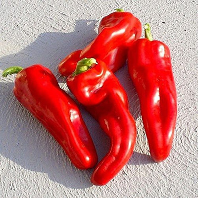 VibeX Dulce de Espana Sweet Pepper Seeds Seed(1000 per packet)