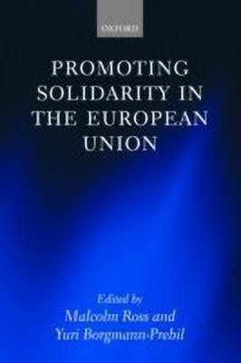 Promoting Solidarity in the European Union(English, Hardcover, unknown)