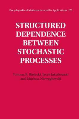 Structured Dependence between Stochastic Processes(English, Hardcover, Bielecki Tomasz R.)