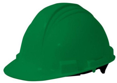 Green Plant indoor SafetyH002 SafetyH001 Construction Helmet(Size - Regular fit)