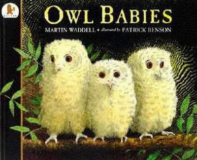 Owl Babies(English, Paperback, Waddell Martin)