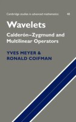 Wavelets(English, Hardcover, Meyer Yves)