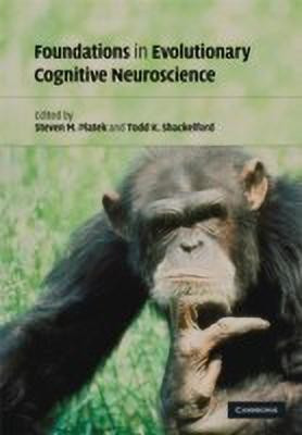 Foundations in Evolutionary Cognitive Neuroscience(English, Hardcover, unknown)