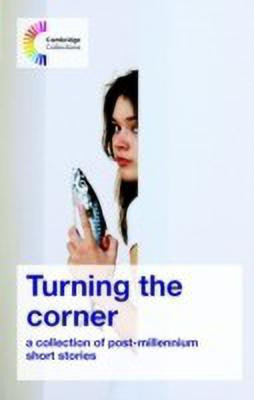 Turning the Corner(English, Paperback, Hill David A)