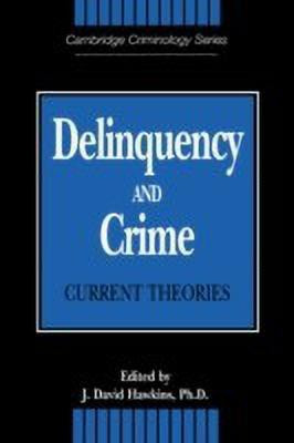 Delinquency and Crime(English, Hardcover, unknown)