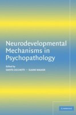 Neurodevelopmental Mechanisms in Psychopathology(English, Hardcover, unknown)