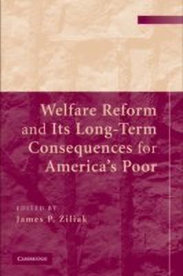 Welfare Reform and its Long-Term Consequences for America's Poor(English, Hardcover, unknown)