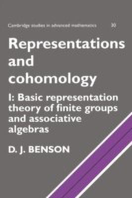 Representations and Cohomology: Volume 1, Basic Representation Theory of Finite Groups and Associative Algebras(English, Hardcover, Benson D. J.)