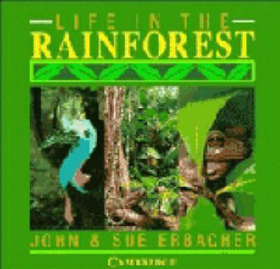 Life in the Rainforest(English, Hardcover, Erbacher John)