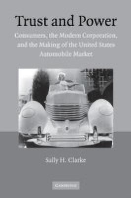 Trust and Power(English, Paperback, Clarke Sally H.)