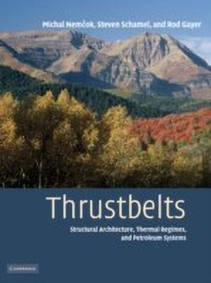 Thrustbelts(English, Paperback, Nemcok Michal)