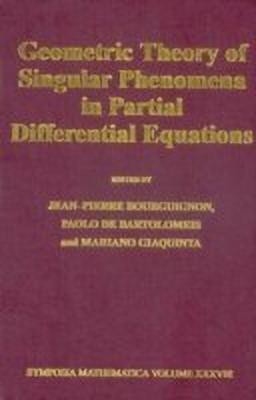 Geometric Theory of Singular Phenomena in Partial Differential Equations(English, Hardcover, unknown)