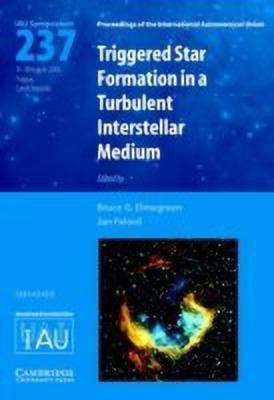 Triggered Star Formation in a Turbulent Interstellar Medium (IAU S237)(English, Hardcover, unknown)