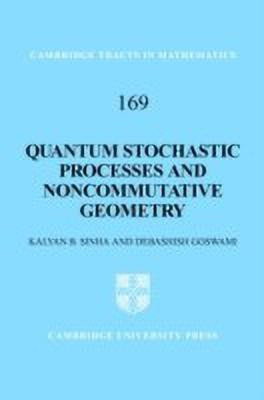 Quantum Stochastic Processes and Noncommutative Geometry(English, Hardcover, Sinha Kalyan B.)