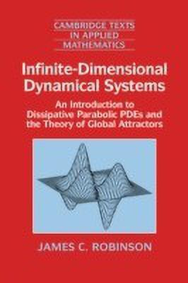 Infinite-Dimensional Dynamical Systems(English, Paperback, Robinson James C.)