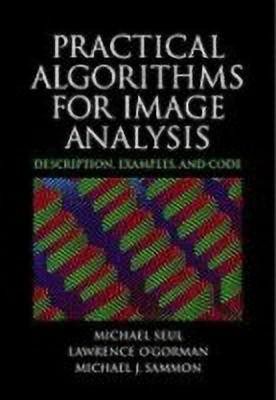 Practical Algorithms for Image Analysis with CD-ROM(English, Hardcover, Seul Michael)