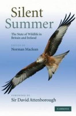 Silent Summer(English, Hardcover, unknown)