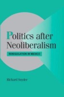 Politics after Neoliberalism(English, Paperback, Snyder Richard)