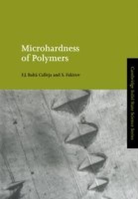 Microhardness of Polymers(English, Paperback, Balta Calleja F. J.)