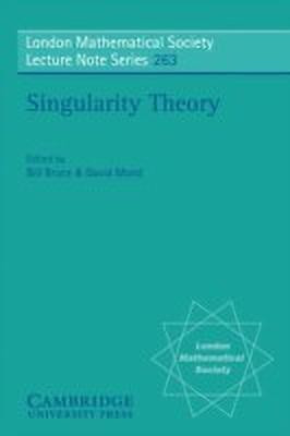 Singularity Theory(English, Paperback, unknown)