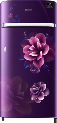 Samsung 198 L Direct Cool Single Door 5 Star (2020) Refrigerator(Camellia Purple, RR21T2G2WCR/HL)