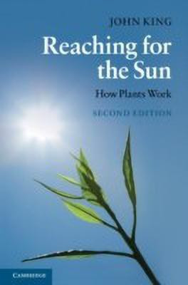 Reaching for the Sun(English, Hardcover, King John)