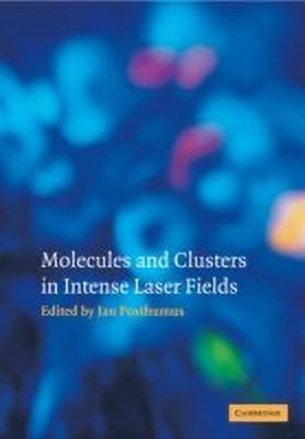 Molecules and Clusters in Intense Laser Fields(English, Paperback, unknown)