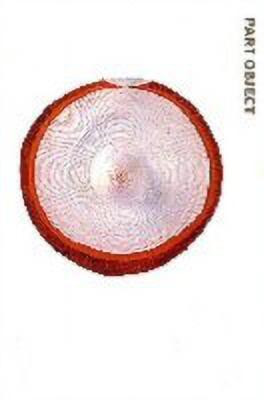 Part Object Part Sculpture(English, Paperback, unknown)