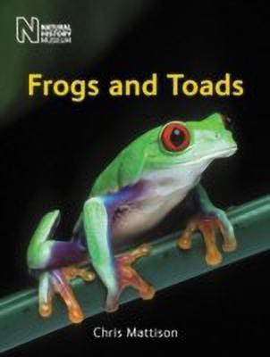 Frogs and Toads(English, Hardcover, Mattison Chris)