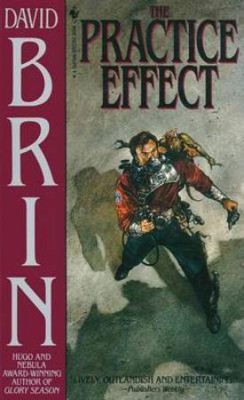 Practice Effect(English, Paperback, Brin David)