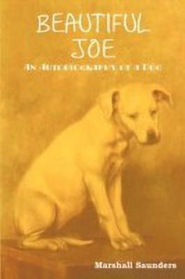 Beautiful Joe(English, Paperback, Saunders Marshall)