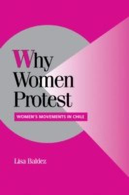 Why Women Protest(English, Paperback, Baldez Lisa)