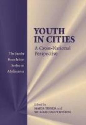 Youth in Cities(English, Hardcover, unknown)