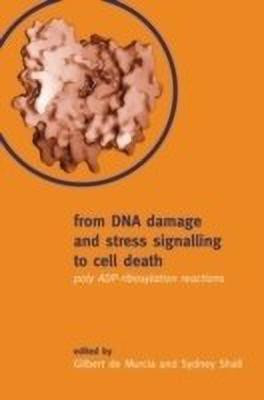 From DNA Damage and Stress Signalling to Cell Death  - Poly Adp-Ribosylation Reactions(English, Hardcover, unknown)