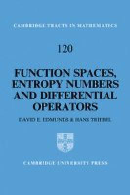 Function Spaces, Entropy Numbers, Differential Operators(English, Paperback, Edmunds D. E.)