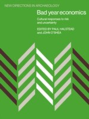 Bad Year Economics(English, Paperback, unknown)