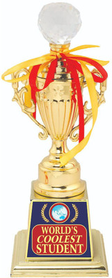 AARK INDIA Student Annual Day Institute Anniversary/Function Gift
:1Stplace:Trophy:Award (PC001376) Trophy(10.5 Inch)