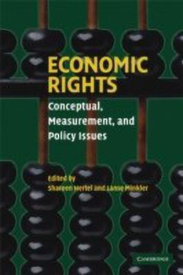 Economic Rights(English, Paperback, Hertel Shareen)