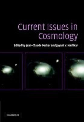 Current Issues in Cosmology(English, Hardcover, unknown)