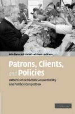 Patrons, Clients and Policies(English, Hardcover, unknown)