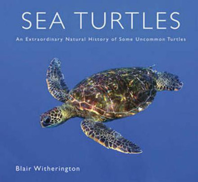 Sea Turtles(English, Hardcover, Witherington Blaire)