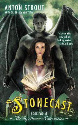 Stonecast(English, Paperback, Strout Anton)