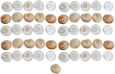 Saptraag Gomati Gomti Chakra ( 2.5 cm, 51 Pc) Decorative Showpiece  -  2.5 cm(Stone, Multicolor)