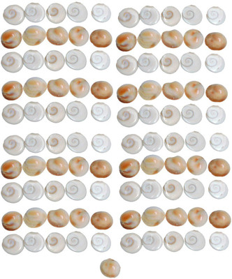 Saptraag Gomati Gomti Chakra ( 2.5 cm, 101 Pc) Decorative Showpiece  -  2.5 cm(Stone, Multicolor)