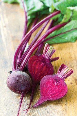 MKR Enterprises Beetroot Seed(400 per packet)