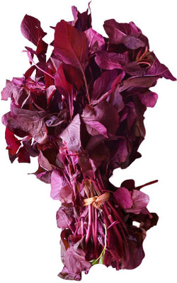 CooPany LAAL SAAG SEEDS / RED CHEERA SEEDS / RED SPINACH AMARANTHUS SEEDS 1000 SEEDS Seed(1000 per packet)