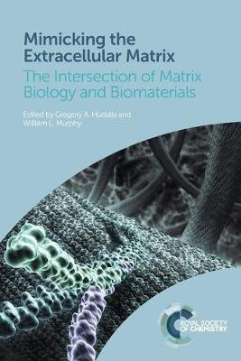 Mimicking the Extracellular Matrix(English, Paperback, unknown)