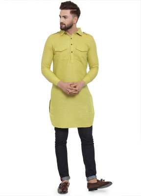 Enchanted Drapes Men Solid Pathani Kurta(Light Green)