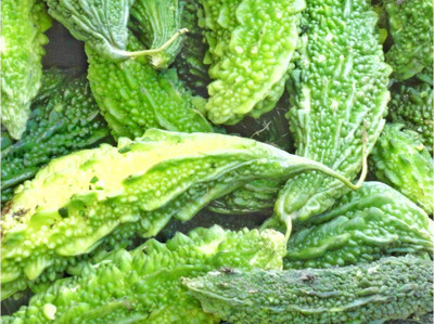 CooPany BITTER GOURD / KARELA / PAVAKAI SEEDS 50 Seed(50 per packet)