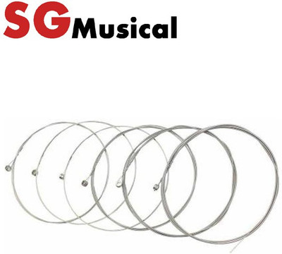 SG MUSICAL Acoustic Multi Color Acoustic Guitar String (6 Strings) Guitar String(6 Strings)